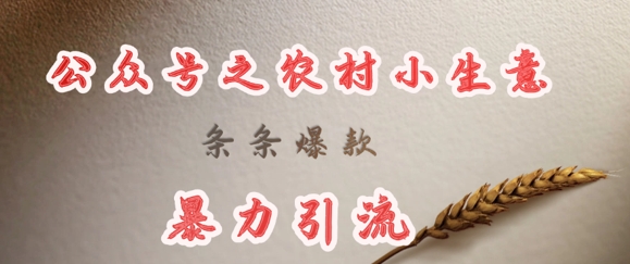 deepseek写农村小项目，条条爆款，暴力引流-天涯云创