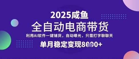 全网首发【闲鱼全自动电商带货】三年磨一剑，一朝露锋芒，单月稳定变现8k+【揭秘】-天涯云创